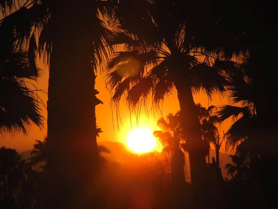 imagini hotel CRYSTAL TATBEACH BELEK